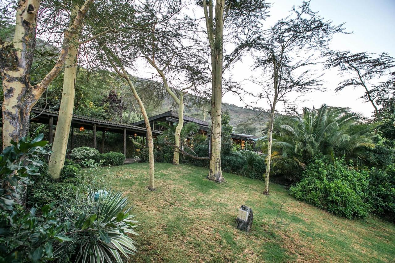 萨罗瓦狮子山野生山林小屋 纳库鲁 外观 照片